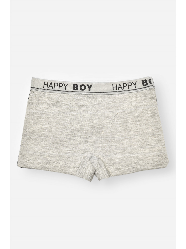 Боксери дитячі для хлопчика сірого кольору з принтом 8231 208900C