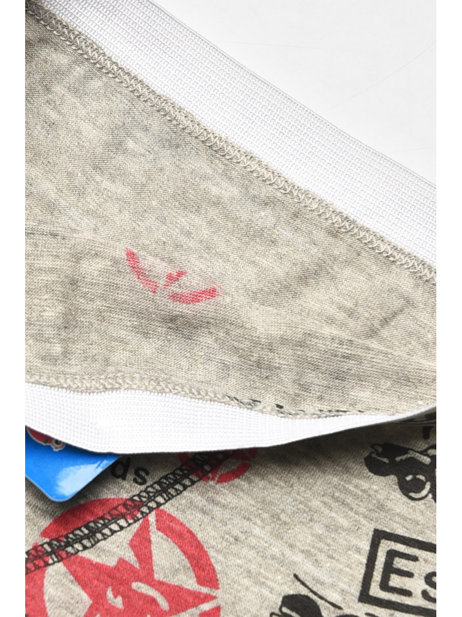 Боксери дитячі для хлопчика сірого кольору з принтом 8231 208900C