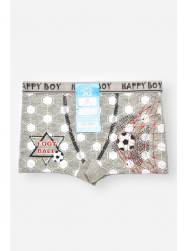 Боксери дитячі для хлопчика сірого кольору з принтом Z02102 208903C Боксери дитячі для хлопчика сірого кольору з принтом Z02102 208903C