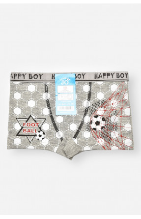 Боксери дитячі для хлопчика сірого кольору з принтом Z02102 208903C Боксери дитячі для хлопчика сірого кольору з принтом Z02102 208903C