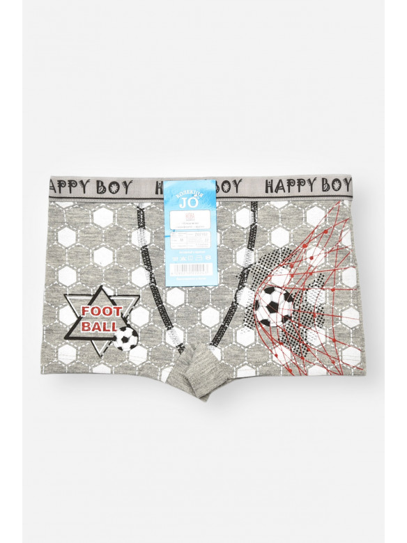 Боксери дитячі для хлопчика сірого кольору з принтом Z02102 208903C