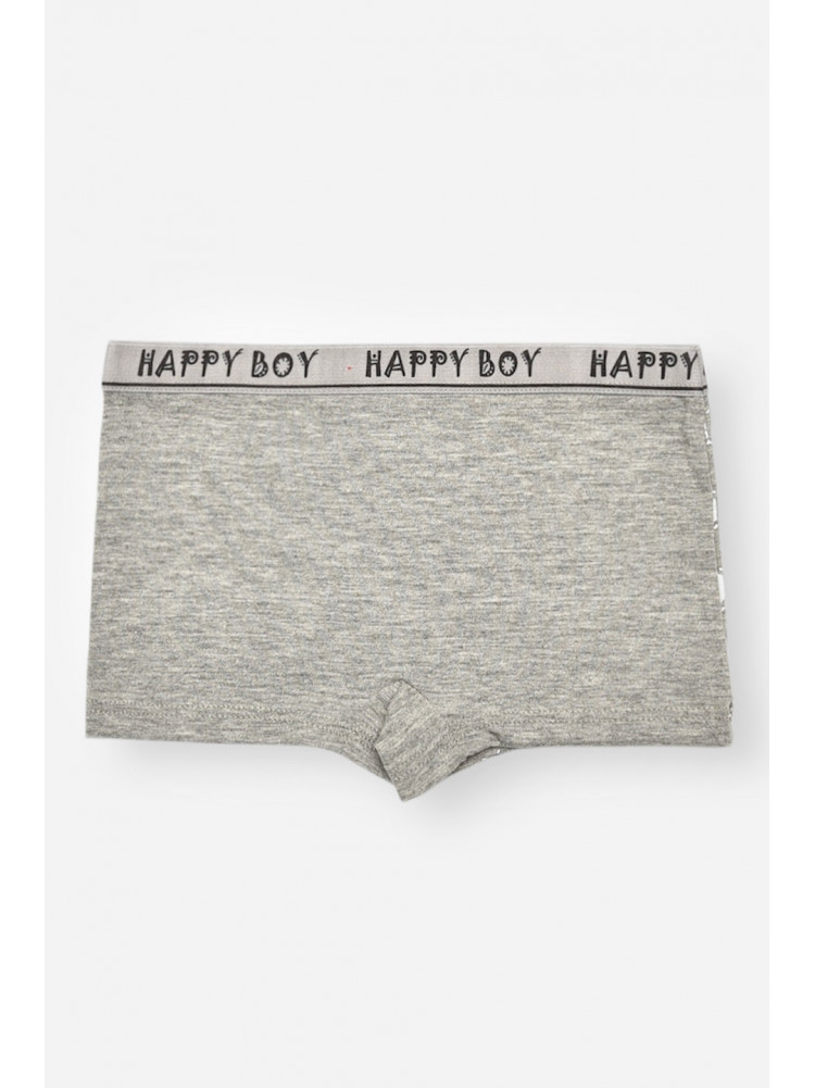Боксери дитячі для хлопчика сірого кольору з принтом Z02102 208903C