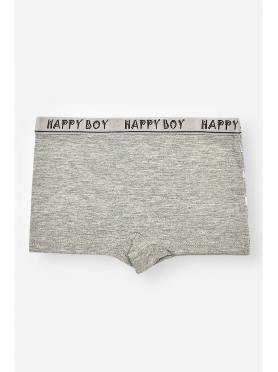 Боксери дитячі для хлопчика сірого кольору з принтом Z02102 208903C