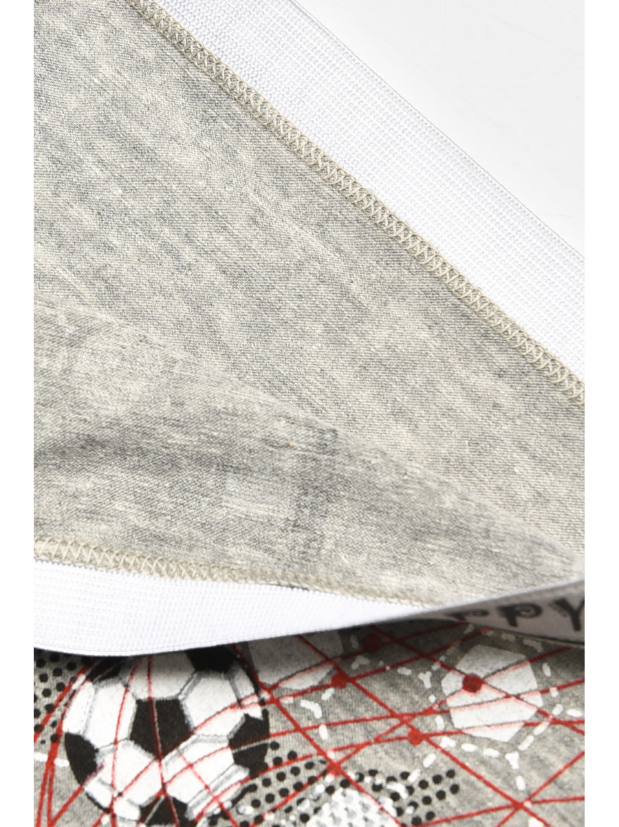 Боксери дитячі для хлопчика сірого кольору з принтом Z02102 208903C