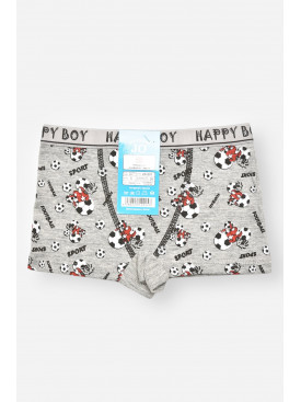 Боксери дитячі для хлопчика сірого кольору з принтом Z02201 208913C