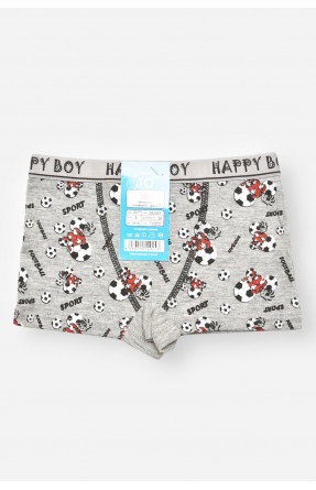 Боксери дитячі для хлопчика сірого кольору з принтом Z02201 208913C Боксери дитячі для хлопчика сірого кольору з принтом Z02201 208913C