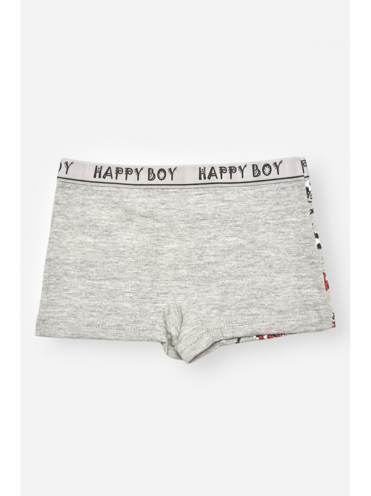 Боксери дитячі для хлопчика сірого кольору з принтом Z02201 208913C