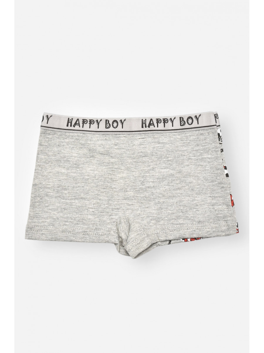 Боксери дитячі для хлопчика сірого кольору з принтом Z02201 208913C
