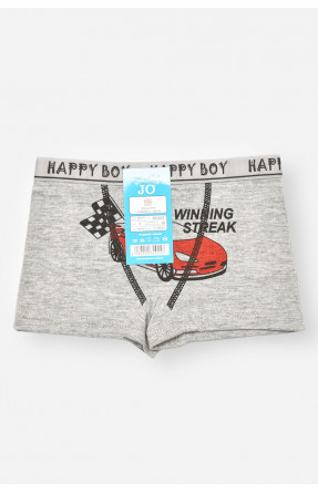 Боксери дитячі для хлопчика сірого кольору з принтом Z02203 208917C Боксери дитячі для хлопчика сірого кольору з принтом Z02203 208917C