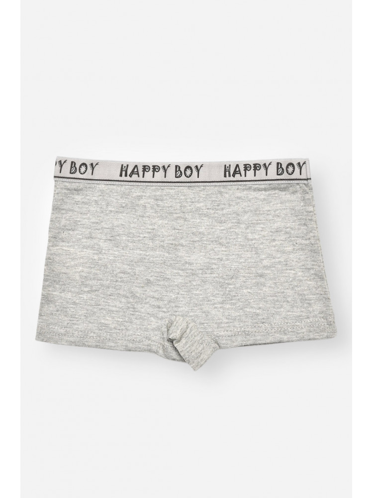 Боксери дитячі для хлопчика сірого кольору з принтом Z02203 208917C
