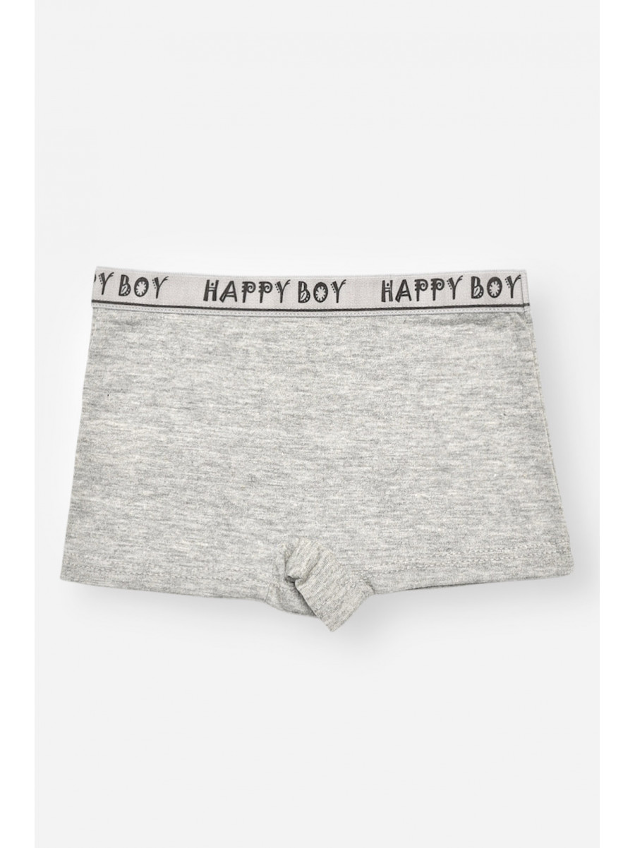 Боксери дитячі для хлопчика сірого кольору з принтом Z02203 208917C