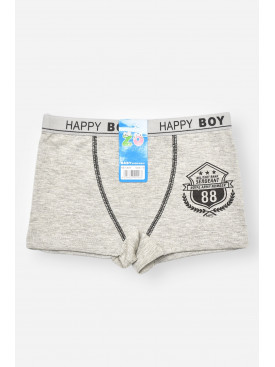 Боксери дитячі для хлопчика сірого кольору з принтом С8239 208920C