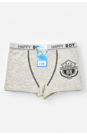 Боксери дитячі для хлопчика сірого кольору з принтом С8239 208920C Боксери дитячі для хлопчика сірого кольору з принтом С8239 208920C