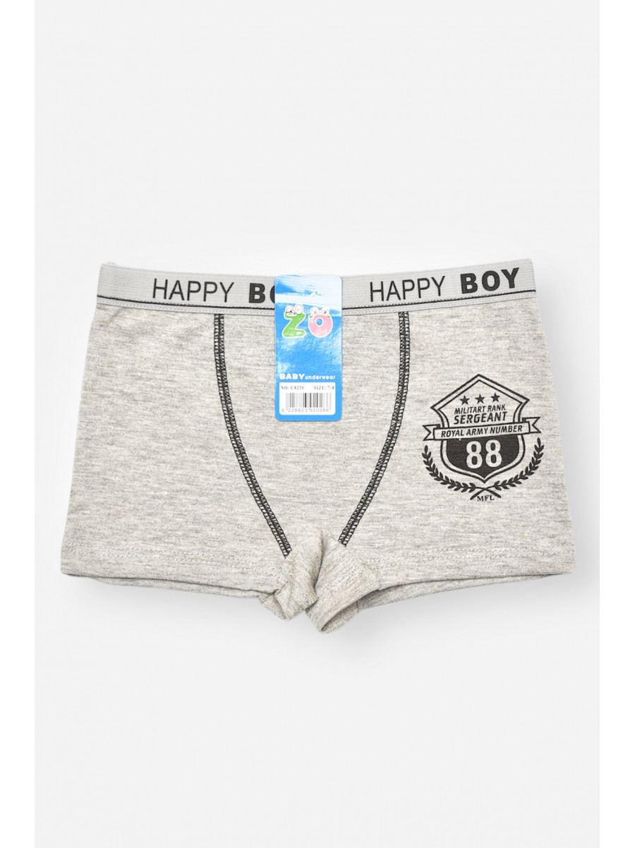 Боксери дитячі для хлопчика сірого кольору з принтом С8239 208920C