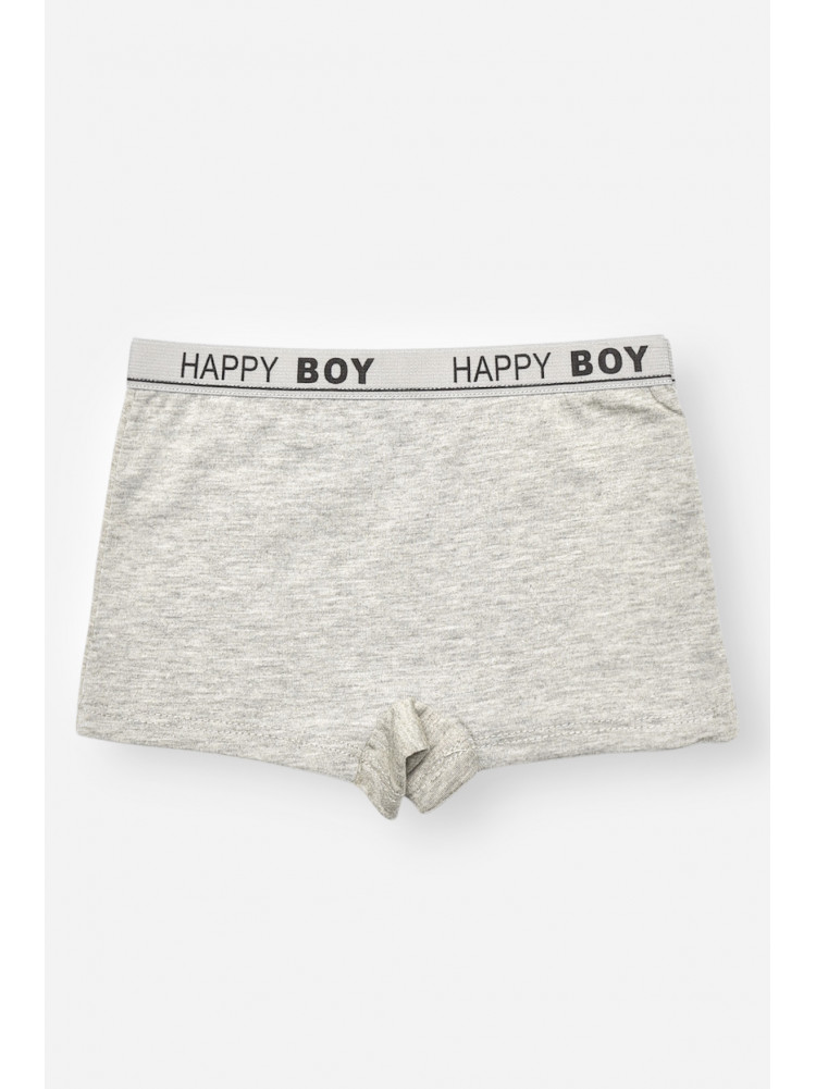 Боксери дитячі для хлопчика сірого кольору з принтом С8239 208920C