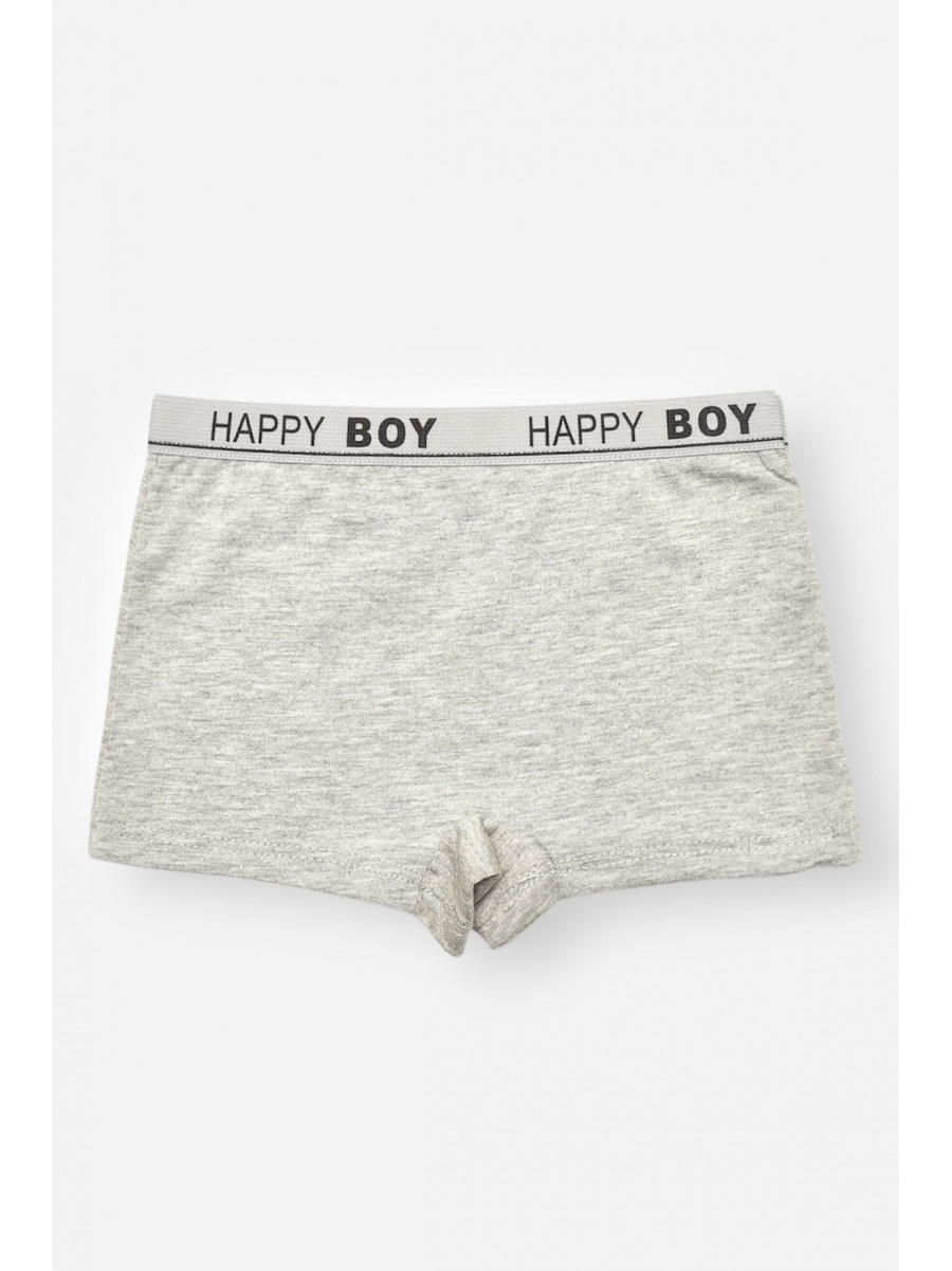 Боксери дитячі для хлопчика сірого кольору з принтом С8239 208920C