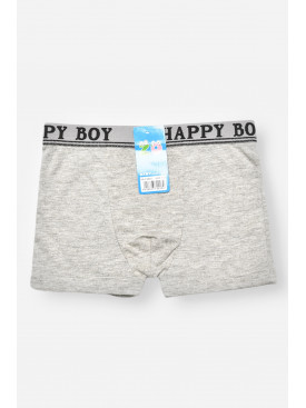 Боксеры детские для мальчика серого цвета СX8237 208924C Боксеры детские для мальчика серого цвета СX8237 208924C