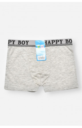 Боксери дитячі для хлопчика сірого кольору СX8237 208924C Боксери дитячі для хлопчика сірого кольору СX8237 208924C