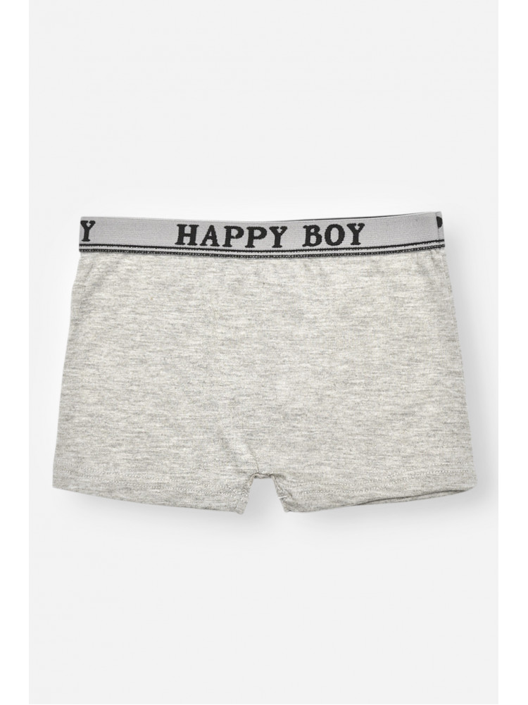 Боксери дитячі для хлопчика сірого кольору СX8237 208924C