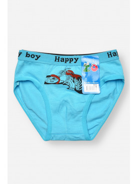 Трусики дитячі для хлопчика блакитного кольору з принтом ZM8310 208928C Трусики дитячі для хлопчика блакитного кольору з принтом ZM8310 208928C