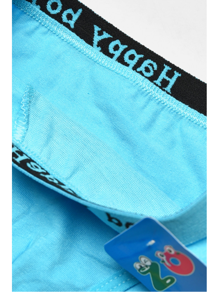 Трусики дитячі для хлопчика блакитного кольору з принтом ZM8310 208928C