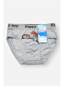 Трусики детские для мальчика серого цвета с принтом ZM8310 208930C Трусики детские для мальчика серого цвета с принтом ZM8310 208930C