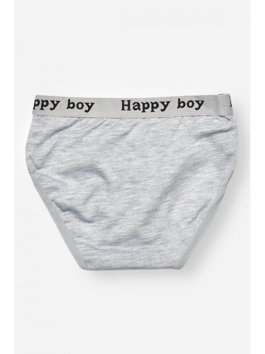 Трусики дитячі для хлопчика сірого кольору з принтом ZM8310 208930C