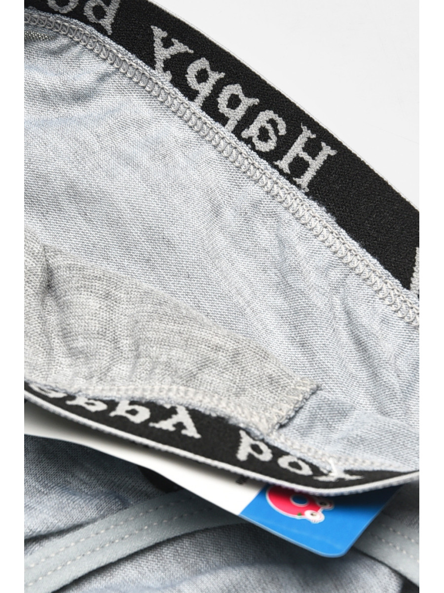 Трусики дитячі для хлопчика сірого кольору з принтом ZM8310 208930C