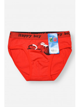 Трусики дитячі для хлопчика червоного кольору з принтом ZM8310 208931C