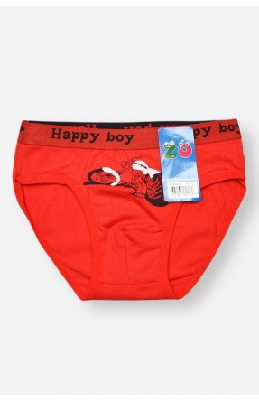 Трусики дитячі для хлопчика червоного кольору з принтом ZM8310 208931C Трусики дитячі для хлопчика червоного кольору з принтом ZM8310 208931C