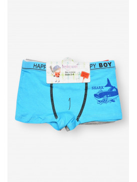 Комплект дитячих боксерів для хлопчика 3 шт X9052 208932C