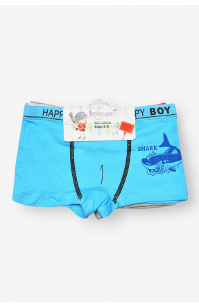 Комплект дитячих боксерів для хлопчика 3 шт X9052 208932C Комплект дитячих боксерів для хлопчика 3 шт X9052 208932C