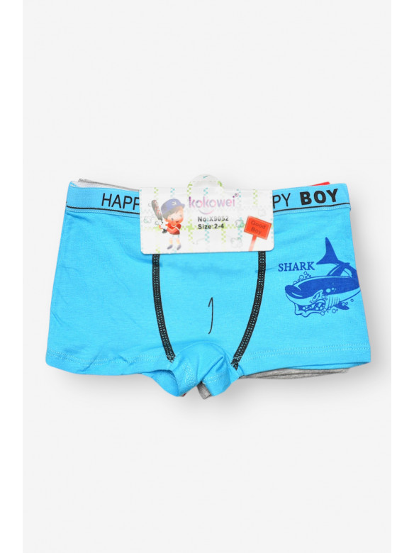 Комплект дитячих боксерів для хлопчика 3 шт X9052 208932C