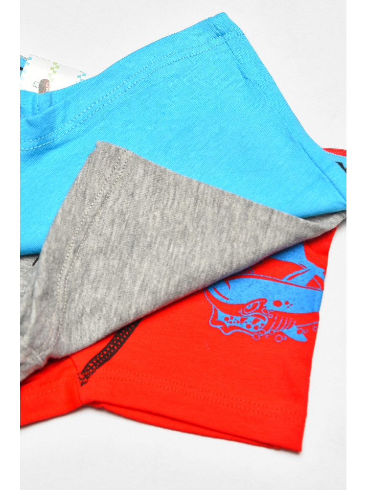 Комплект дитячих боксерів для хлопчика 3 шт X9052 208932C