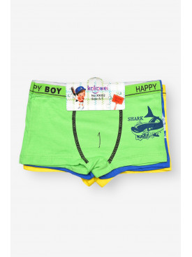 Комплект дитячих боксерів для хлопчика 3 шт X9052 208933C