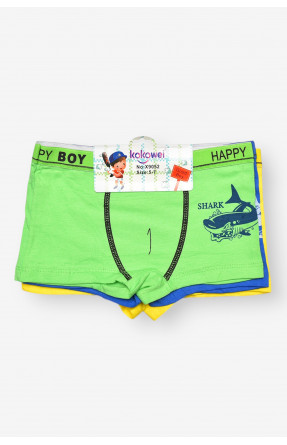 Комплект дитячих боксерів для хлопчика 3 шт X9052 208933C Комплект дитячих боксерів для хлопчика 3 шт X9052 208933C