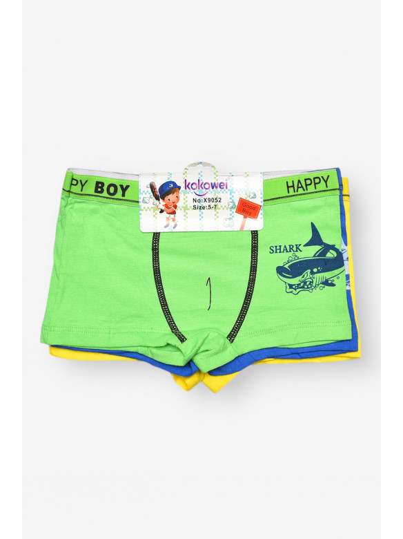 Комплект дитячих боксерів для хлопчика 3 шт X9052 208933C