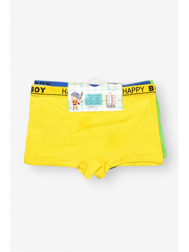 Комплект дитячих боксерів для хлопчика 3 шт X9052 208933C