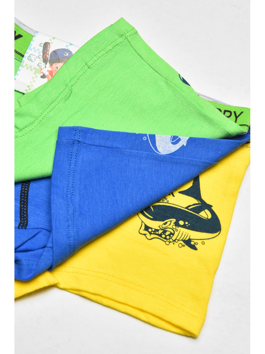 Комплект дитячих боксерів для хлопчика 3 шт X9052 208933C