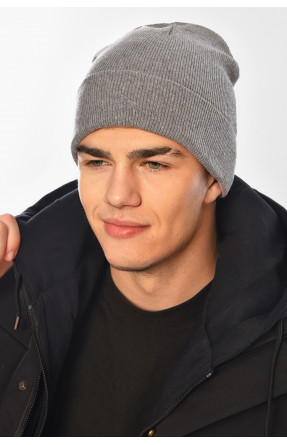 Шапка чоловіча сірого кольору 57069 209204C