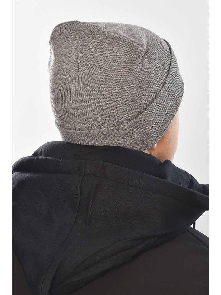 Шапка чоловіча сірого кольору 57069 209204C