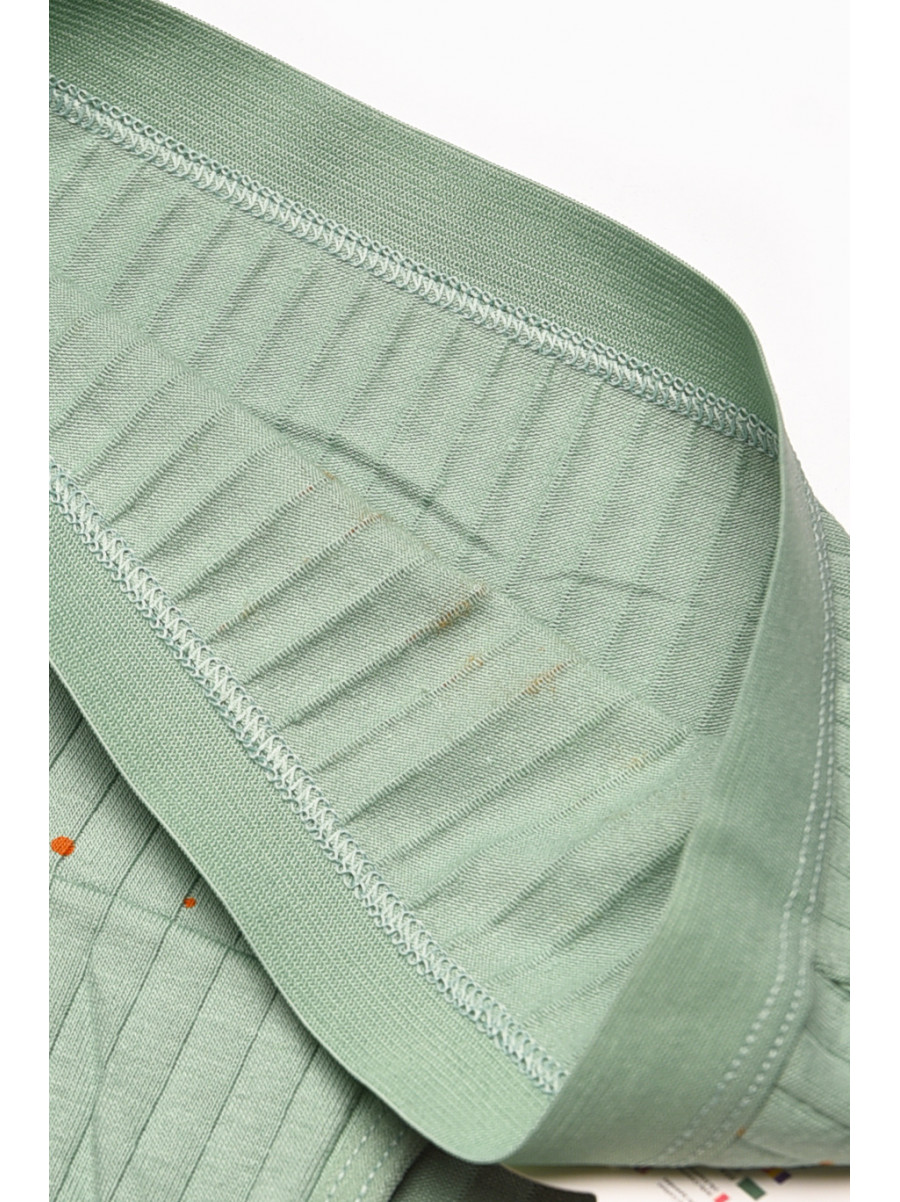 Трусики дитячі для дівчинки зеленого кольору з принтом Y1672 209256C