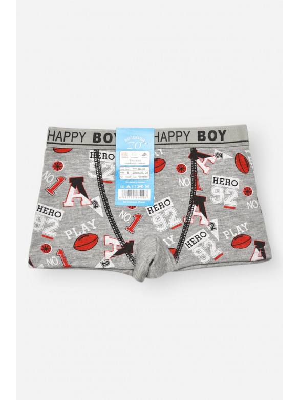 Боксери дитячі для хлопчика сірого кольору з принтом Z02109 209265C