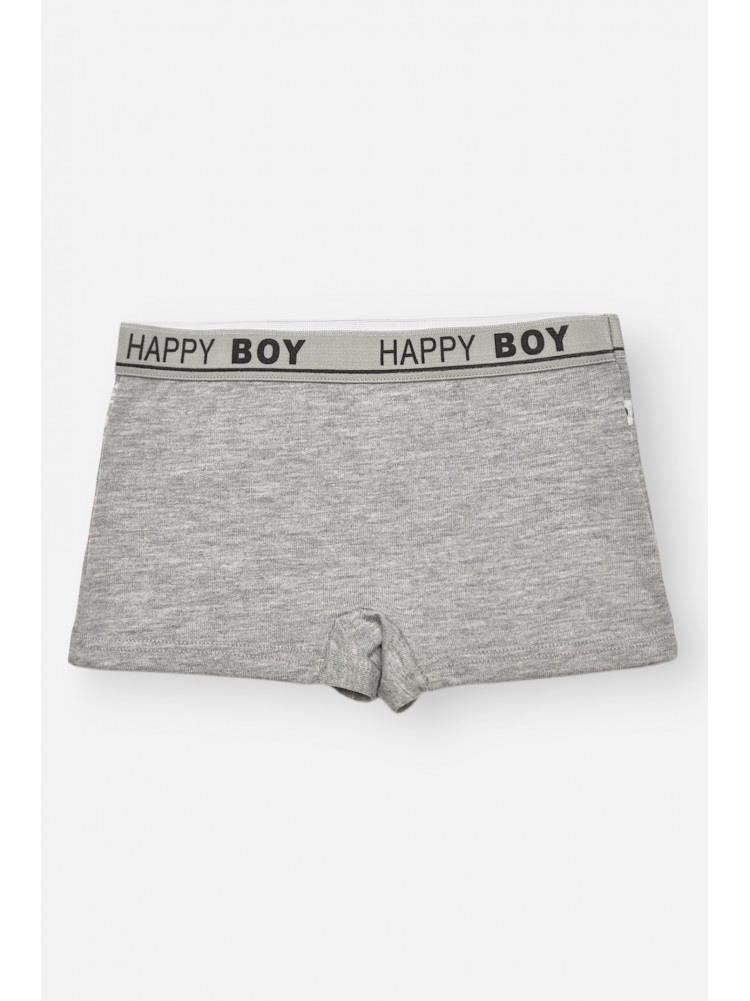 Боксери дитячі для хлопчика сірого кольору з принтом Z02109 209265C