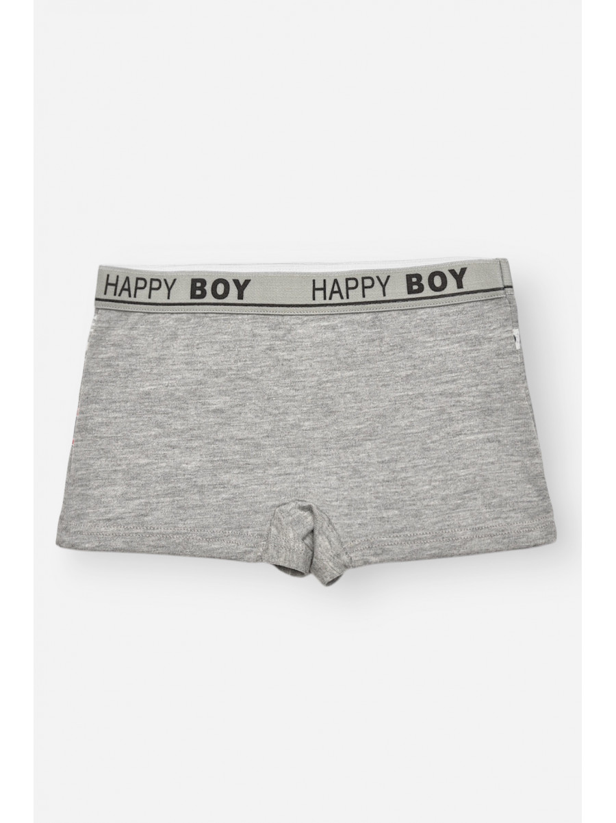 Боксери дитячі для хлопчика сірого кольору з принтом Z02109 209265C