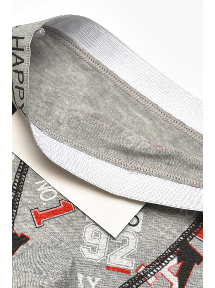 Боксери дитячі для хлопчика сірого кольору з принтом Z02109 209265C