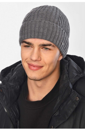 Шапка чоловіча на флісі сірого кольору 209365C