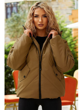 Куртка жіноча демісезонна сірого кольору 295 209494C