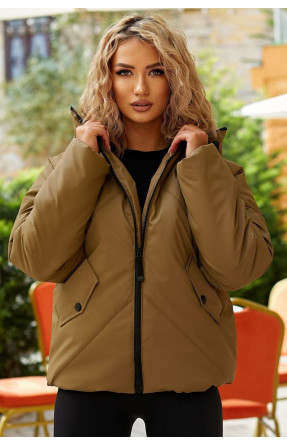 Куртка женская демисезонная серого цвета 295 209494C