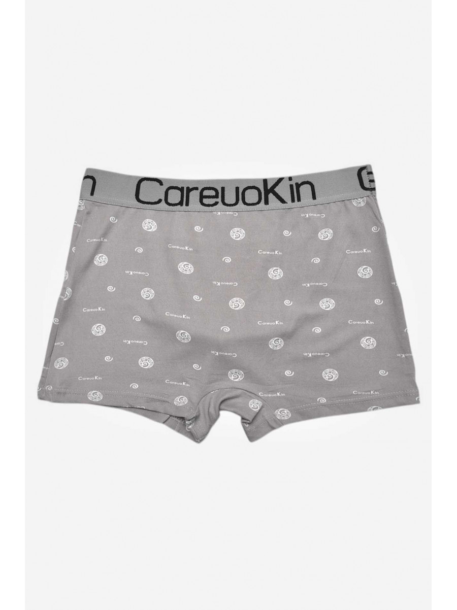 Боксери чоловічі сірого кольору з принтом А1695 209519C